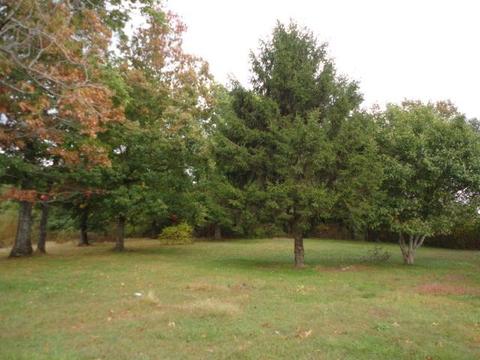 1064 Cabbage Patch Rd, Altamont, TN 37301 photo 14