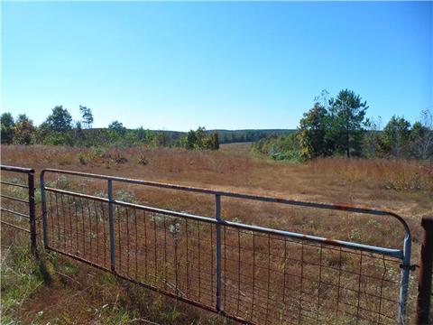 112 Randall Rd, Westpoint, TN 38486 photo 7