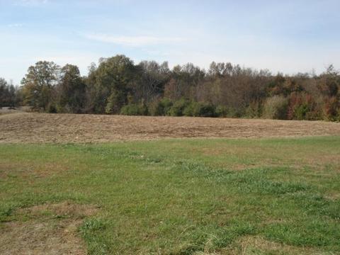 470 Finger Bluff Rd, Morrison, TN 37357 photo 5