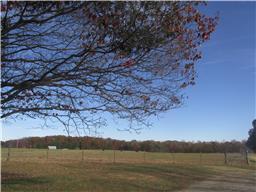 4116 Pocahontas Rd, Morrison, TN 37357 photo 19
