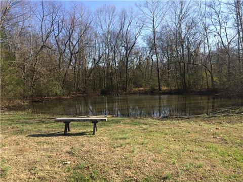 745 Bugscuffle Rd, Wartrace, TN 37183 photo 14