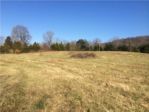 745 Bugscuffle Rd, Wartrace, TN 37183 photo 18