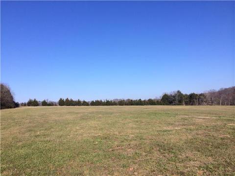 745 Bugscuffle Rd, Wartrace, TN 37183 photo 15
