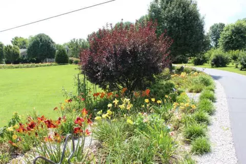 1822 Clara Mathis Rd, Spring Hill, TN 37174 photo 7