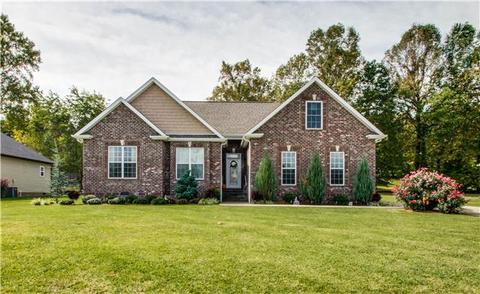 205 Deerfield Dr, Springfield, TN 37172 photo 1
