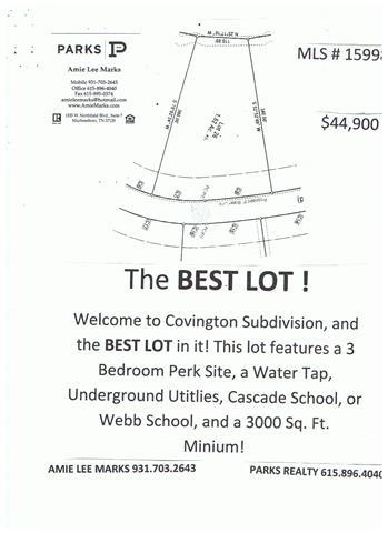 161 Tom Walker Dr, Beechgrove, TN 37018 photo 5
