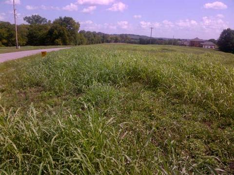 161 Tom Walker Dr, Beechgrove, TN 37018 photo 1