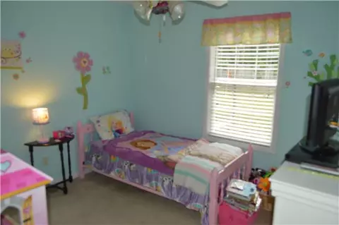 113 Ruben Rd, Spring Hill, TN 37174 photo 11