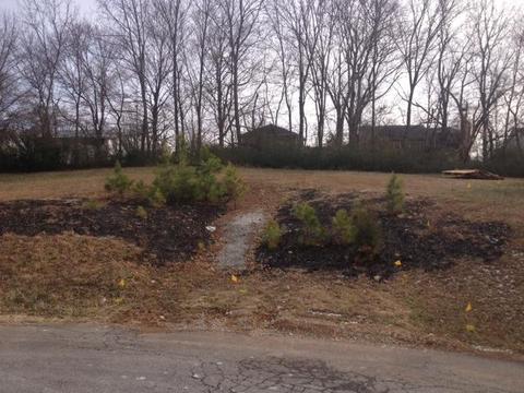 114 Tices Spring Ct, Dickson, TN 37055 photo 1