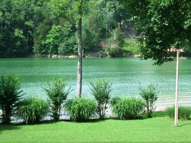 201 River View Rd, Doyle, TN 38559 photo 1