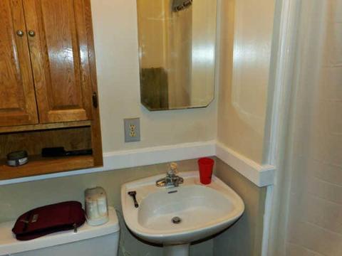 113 E Circle Dr, Burns, TN 37029 photo 12