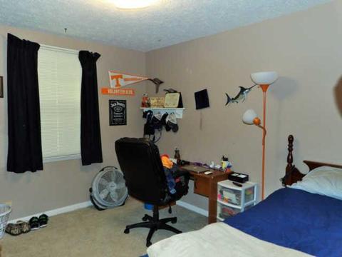 113 E Circle Dr, Burns, TN 37029 photo 13