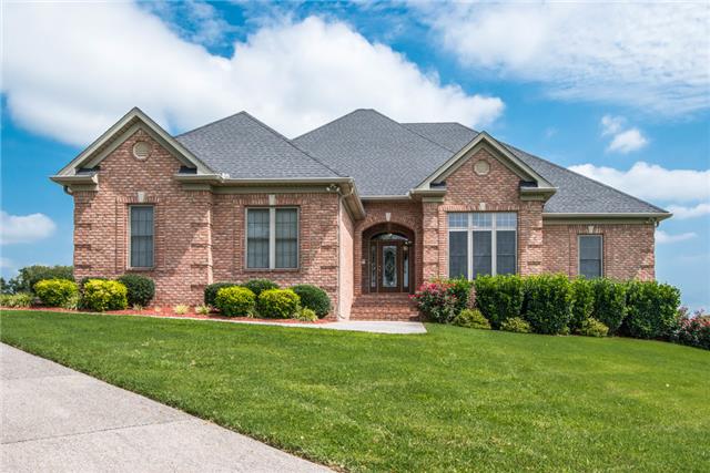 228 Lawrence Ln, Springfield, TN 37172 photo 1