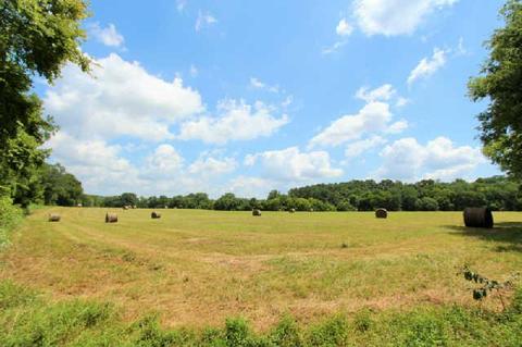 258 Rushton Rd, Only, TN 37140 photo 20