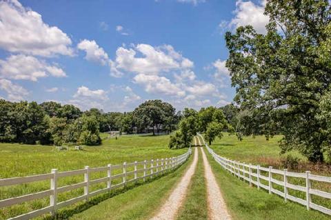 258 Rushton Rd, Only, TN 37140 photo 17