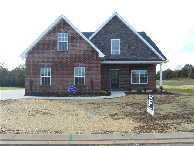 2919 June Bug Dr, Murfreesboro, TN 37129 photo 1