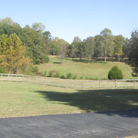 181 Old Jackson Hwy S, Loretto, TN 38469 photo 15