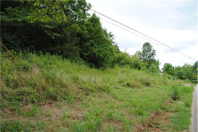 722 Rogues Fork Rd, Bethpage, TN 37022 photo 2