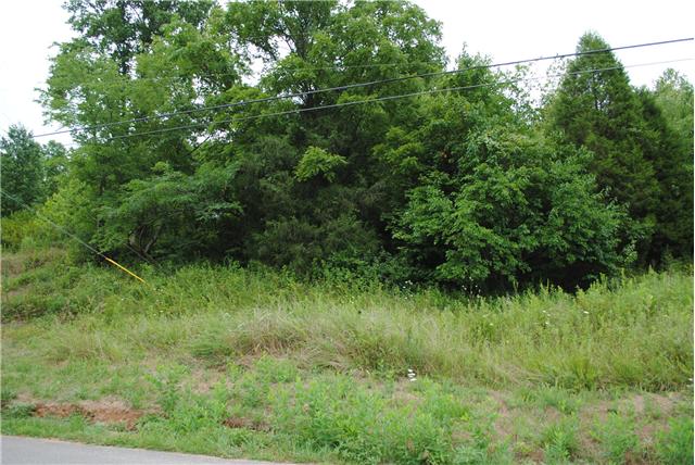 722 Rogues Fork Rd, Bethpage, TN 37022 photo 3
