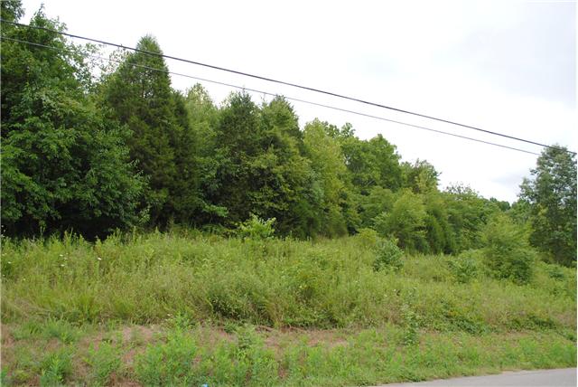 722 Rogues Fork Rd, Bethpage, TN 37022 photo 1
