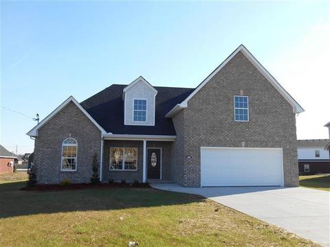 302 Patsy Pl, Smyrna, TN 37167 photo 1