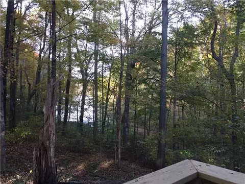 3857 E Lake Rd, Springfield, TN 37172 photo 9