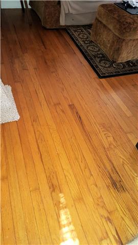 817 N Spring St, Murfreesboro, TN 37129 photo 12