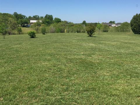 3832 Flewellyn Rd, Springfield, TN 37172 photo 17
