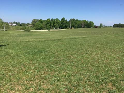 3832 Flewellyn Rd, Springfield, TN 37172 photo 19