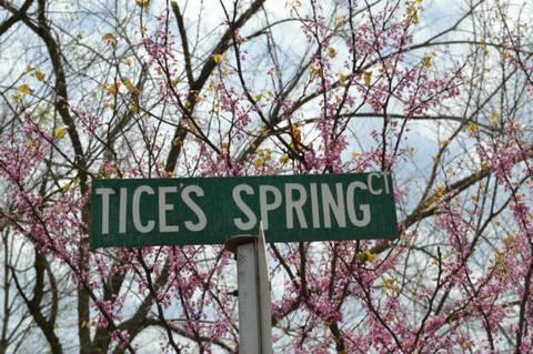 97 Tices Spring Ct, Dickson, TN 37055 photo 16
