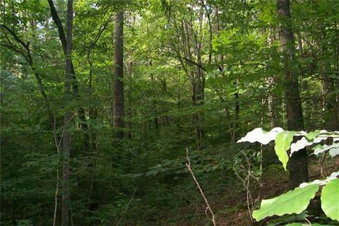 835 Winstead Rd, Quebeck, TN 38579 photo 8