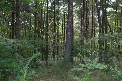 835 Winstead Rd, Quebeck, TN 38579 photo 7