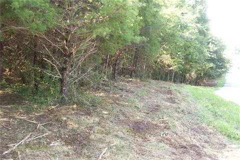 835 Winstead Rd, Quebeck, TN 38579 photo 5