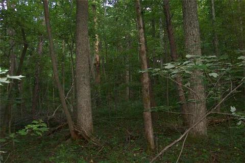 835 Winstead Rd, Quebeck, TN 38579 photo 11