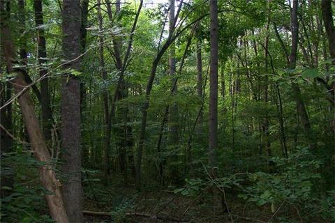 835 Winstead Rd, Quebeck, TN 38579 photo 9