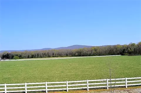 238 Peachtree Ln, Decherd, TN 37324 photo 28