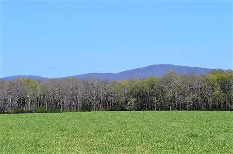 238 Peachtree Ln, Decherd, TN 37324 photo 25