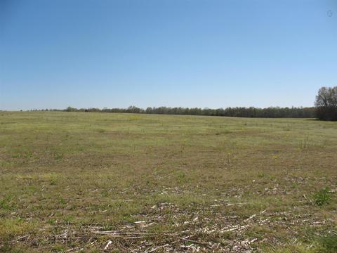 870 Mcafee Rd, Morrison, TN 37357 photo 6