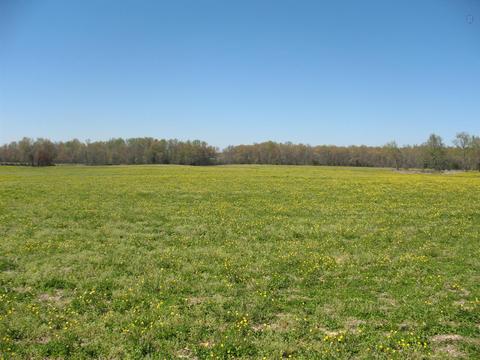 870 Mcafee Rd, Morrison, TN 37357 photo 1