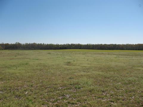 870 Mcafee Rd, Morrison, TN 37357 photo 7