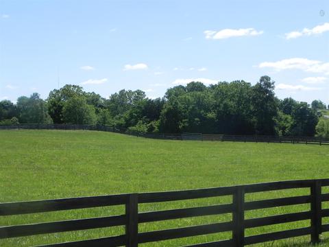 8462 Covington Rd, Eagleville, TN 37060 photo 27