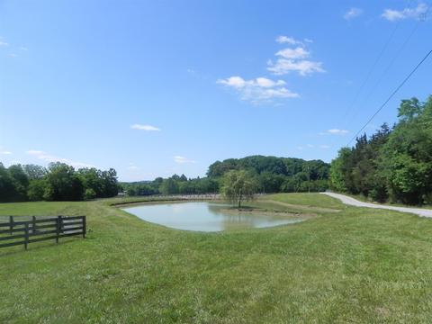 8462 Covington Rd, Eagleville, TN 37060 photo 26