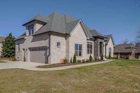 923 Springleaf Ct, Murfreesboro, TN 37130 photo 2