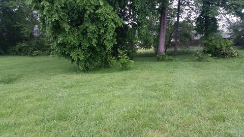 103 Cofer Dr, Springfield, TN 37172 photo 6
