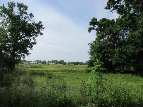 29 Owens, Five Points, TN 38457 photo 23
