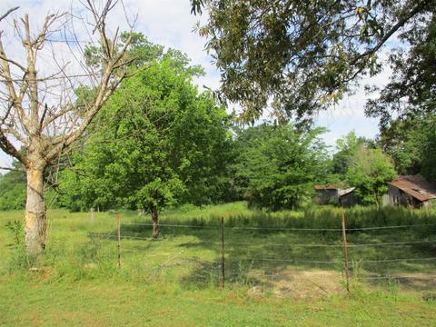 29 Owens, Five Points, TN 38457 photo 21