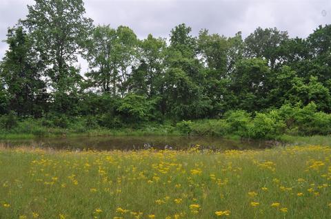 7232 Highway 76e, Springfield, TN 37172 photo 17