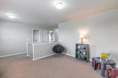 1007 Daniel Ln, Spring Hill, TN 37174 photo 23