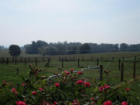 803 Old Manchester Rd, Morrison, TN 37357 photo 7