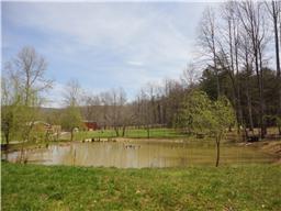 429 Williams Rd, Morrison, TN 37357 photo 27